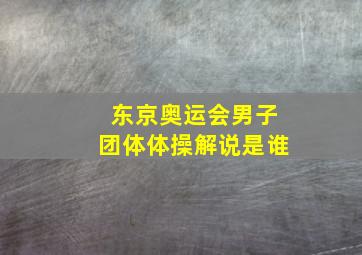 东京奥运会男子团体体操解说是谁