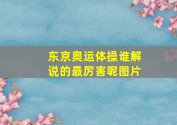 东京奥运体操谁解说的最厉害呢图片