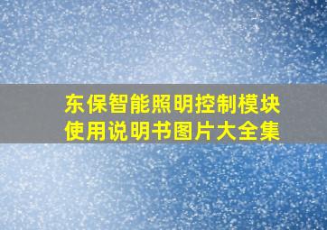 东保智能照明控制模块使用说明书图片大全集