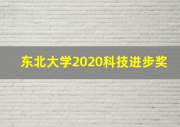 东北大学2020科技进步奖