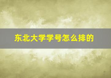 东北大学学号怎么排的