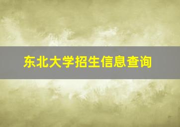 东北大学招生信息查询