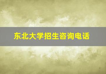 东北大学招生咨询电话