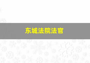 东城法院法官