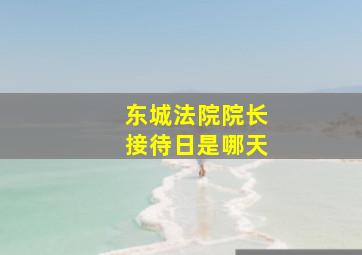 东城法院院长接待日是哪天