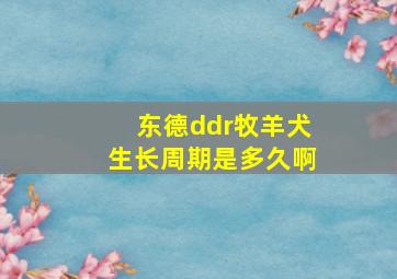 东德ddr牧羊犬生长周期是多久啊