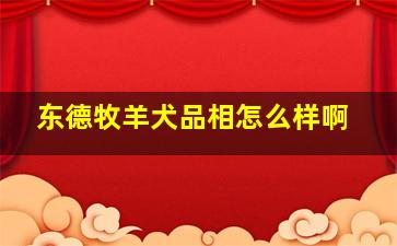 东德牧羊犬品相怎么样啊