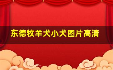 东德牧羊犬小犬图片高清