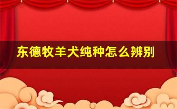 东德牧羊犬纯种怎么辨别