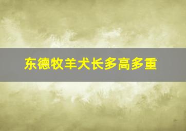 东德牧羊犬长多高多重