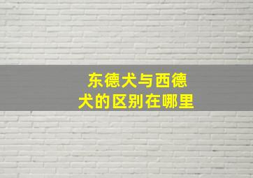 东德犬与西德犬的区别在哪里