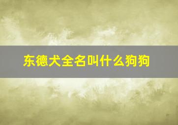 东德犬全名叫什么狗狗