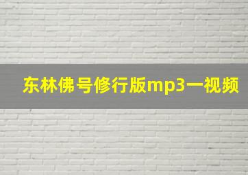 东林佛号修行版mp3一视频