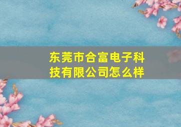 东莞市合富电子科技有限公司怎么样