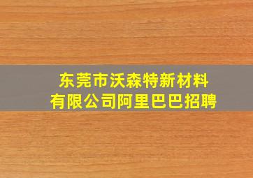 东莞市沃森特新材料有限公司阿里巴巴招聘