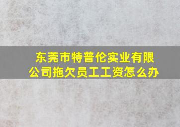 东莞市特普伦实业有限公司拖欠员工工资怎么办