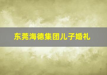 东莞海德集团儿子婚礼