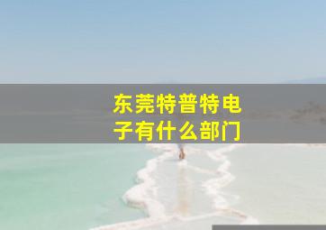 东莞特普特电子有什么部门