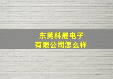 东莞科晟电子有限公司怎么样