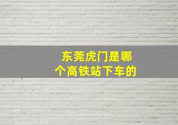 东莞虎门是哪个高铁站下车的