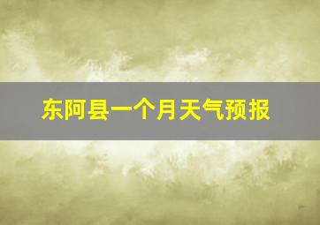 东阿县一个月天气预报