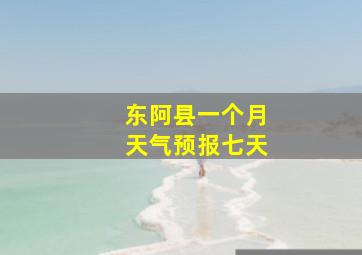 东阿县一个月天气预报七天