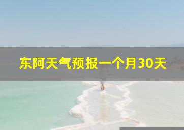 东阿天气预报一个月30天