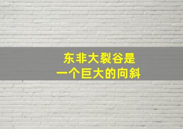 东非大裂谷是一个巨大的向斜