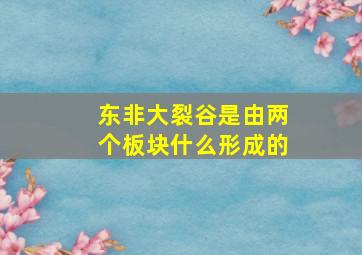 东非大裂谷是由两个板块什么形成的