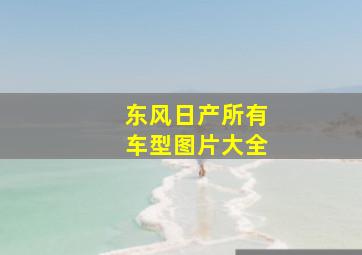 东风日产所有车型图片大全