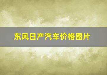 东风日产汽车价格图片