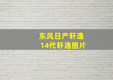 东风日产轩逸14代轩逸图片