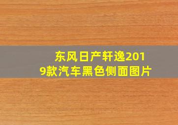 东风日产轩逸2019款汽车黑色侧面图片