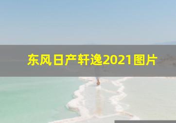 东风日产轩逸2021图片