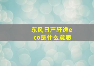 东风日产轩逸eco是什么意思