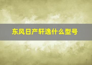 东风日产轩逸什么型号