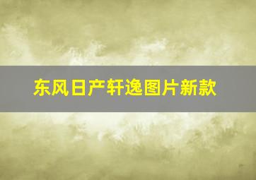 东风日产轩逸图片新款