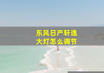 东风日产轩逸大灯怎么调节