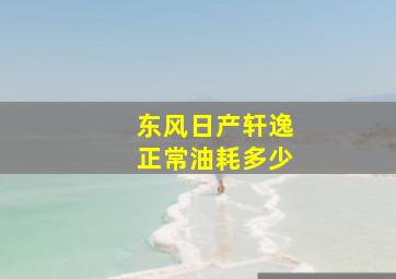 东风日产轩逸正常油耗多少