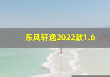 东风轩逸2022款1.6