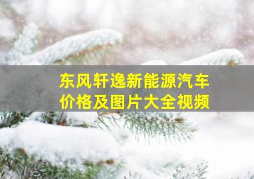 东风轩逸新能源汽车价格及图片大全视频