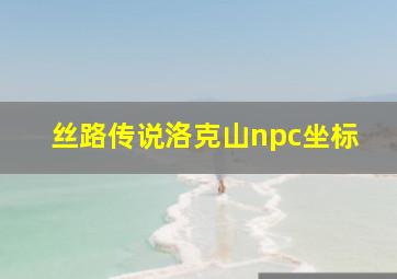 丝路传说洛克山npc坐标