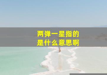 两弹一星指的是什么意思啊