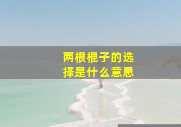 两根棍子的选择是什么意思