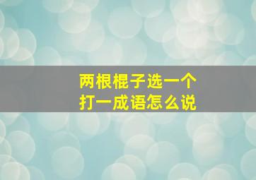 两根棍子选一个打一成语怎么说