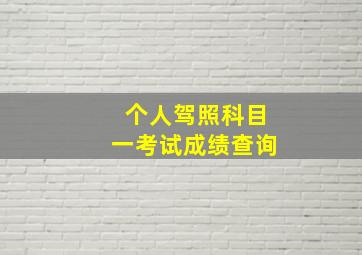 个人驾照科目一考试成绩查询