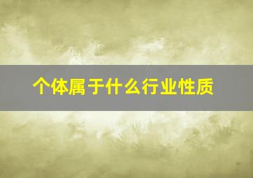 个体属于什么行业性质