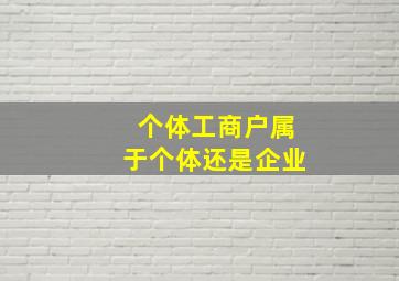 个体工商户属于个体还是企业