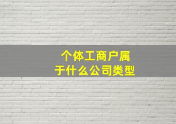 个体工商户属于什么公司类型