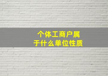 个体工商户属于什么单位性质